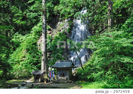 羽黒山散歩・須賀の滝 2972459