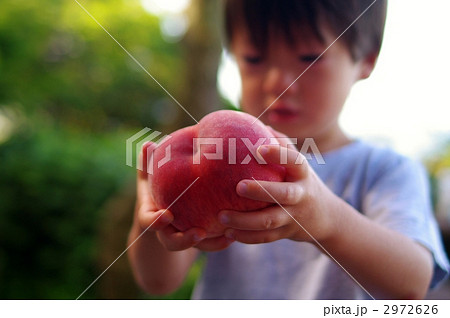 桃と子供 2972626