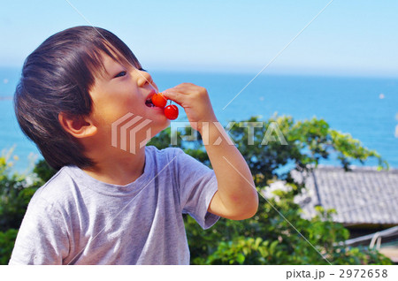 サクランボと子供 サクランボと子供 2972658
