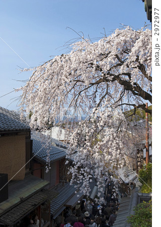 あけぼの亭 2972977