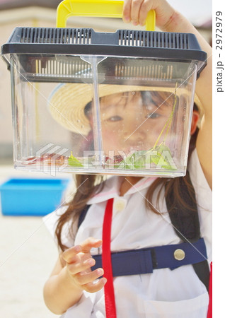 幼稚園でザリガニ釣り 幼稚園でザリガニ釣り 2972979