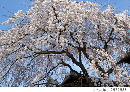 あけぼの亭 あけぼの亭 2972983