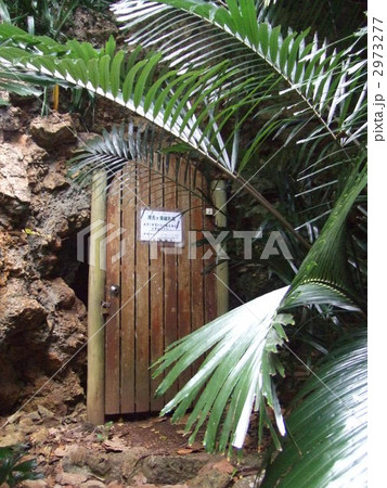 小笠原母島港脇にある鍾乳洞の入り口 2973277