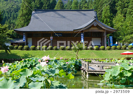 南条　花はす公園 2973509