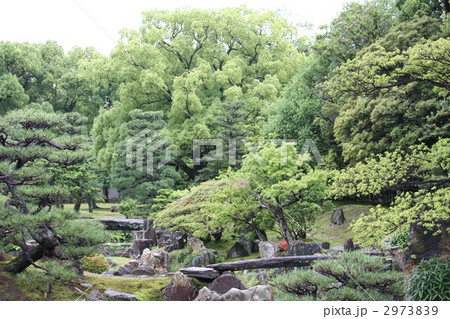 二条城の庭園 二条城の庭園 2973839