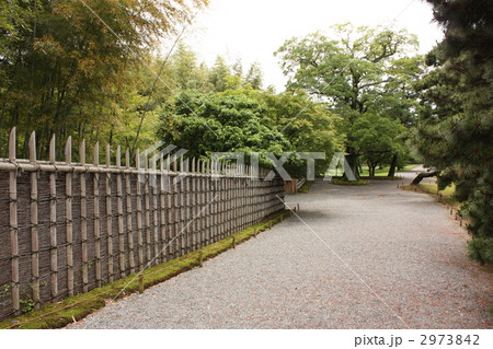 桂離宮の庭園 日本庭園と竹垣 桂離宮の庭園 日本庭園と竹垣 2973842