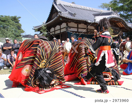 香川県無形民俗文化財「家の浦二頭獅子舞」の写真素材 [2973960] - PIXTA