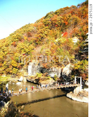 紅葉の塔のへつり 2975119