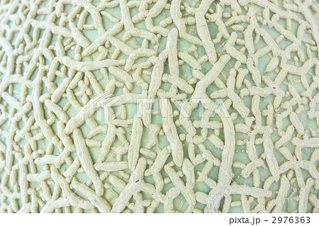 メロン柄の写真素材