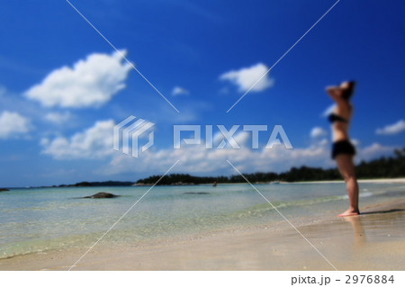 夏イメージ　ジオラマ風 2976884