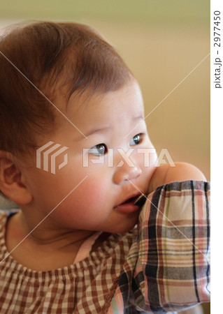 子供 2977450