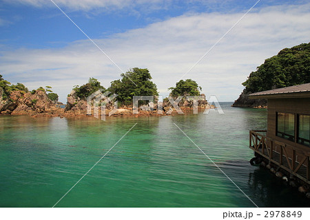 南海の宝石といわれる水床。竹ヶ島 2978849