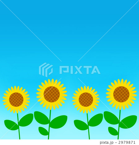 青空の下に咲くひまわり 2979871