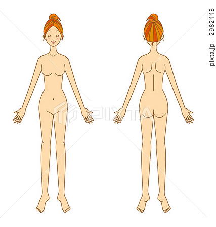 女性の体のイラスト素材 2982443 Pixta