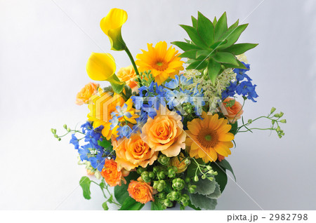 Summer has Come 2982798