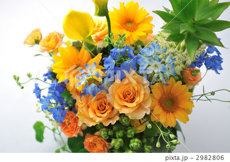 Summer has Come Summer has Come 2982806