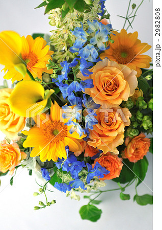 Summer has Come Summer has Come 2982808