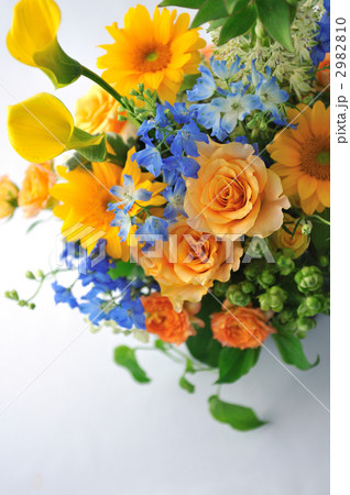 Summer has Come Summer has Come 2982810