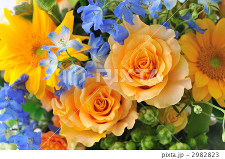 Summer has Come 2982823