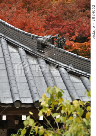 香積寺の紅葉 香積寺の紅葉 2984052