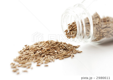 クミン（スパイス） 2986611