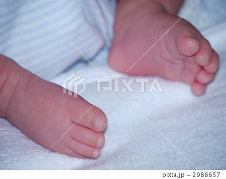 赤ちゃんの足 2986657
