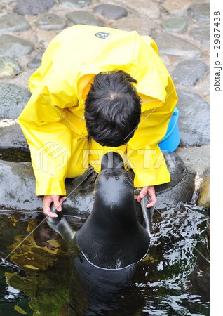 アザラシと飼育員の密談 2987438
