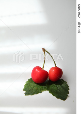 さくらんぼ 2987869