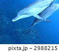 2988215