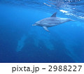2988227