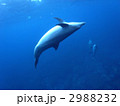 2988232