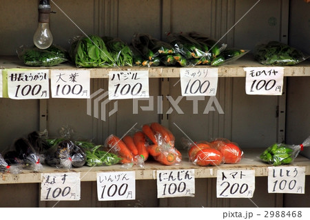 野菜直売所 野菜直売所 2988468