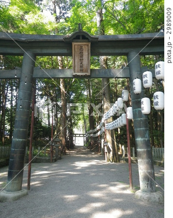 滋賀県　土山町　田村神社　鳥居と参道 2989009