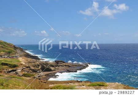 ハワイの休日 ハワイの休日 2989227