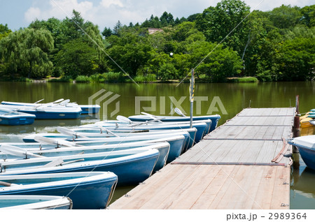 貸しボート 2989364