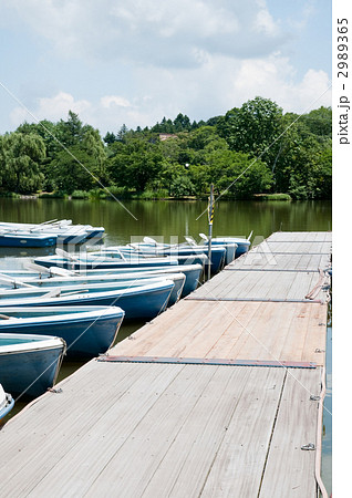 貸しボート 2989365