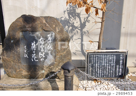 大和八木の句碑 2989453