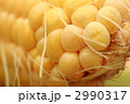 生とうもろこし 2990317