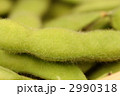 生枝豆 2990318