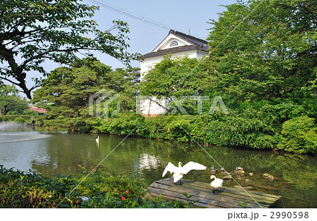 鶴岡散歩・鶴岡公園　お堀 2990598
