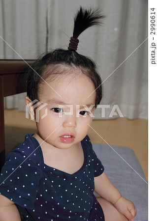 武士なり 2990614