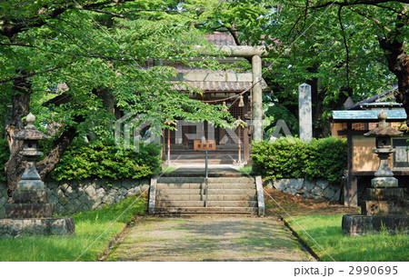 鶴岡散歩・鶴岡護国神社 鶴岡散歩・鶴岡護国神社 2990695