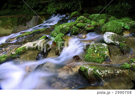 野河内渓谷 2990708