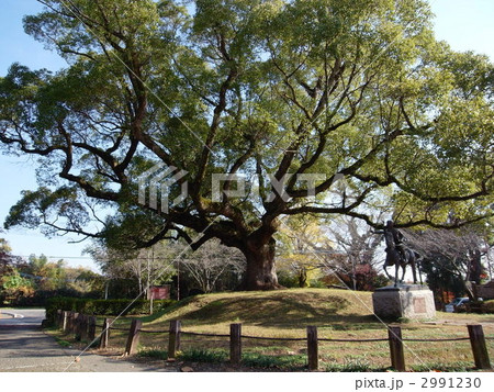 田原坂公園 田原坂公園 2991230