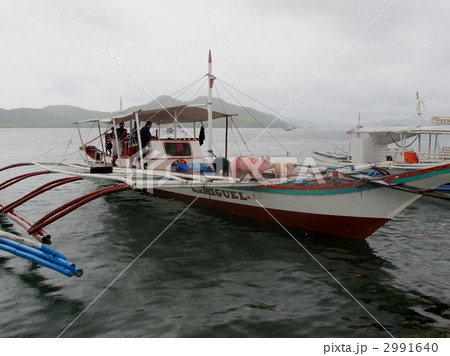 海を渡る豚 2991640