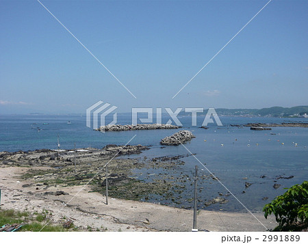 荒崎 荒崎 2991889