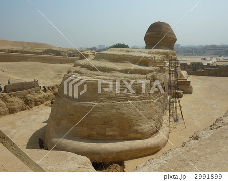 スフィンクスの後ろ姿(エジプト：カイロ) 2991899