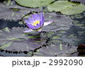 2992090