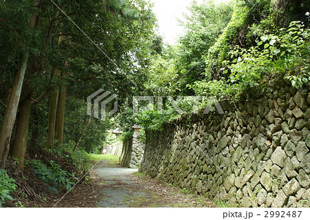 伊馥寺の参道 2992487