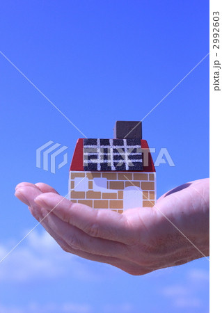 2992603